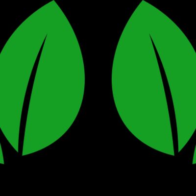 11 Leaves Thumbnail