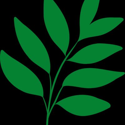 17 Leaves Thumbnail