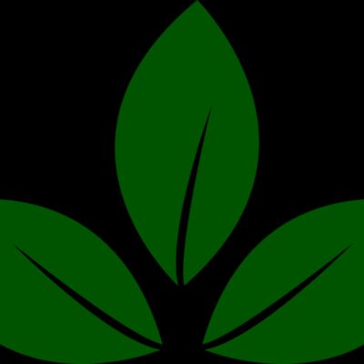 Leaves 5 Thumbnail