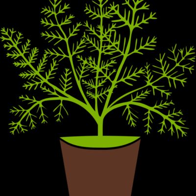 Plant Thumbnail